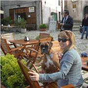 Offro lezioni private per bambini ed adulti, tariffa ed orario da concordare